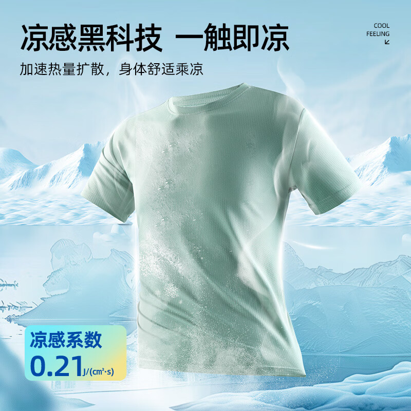 白#HL竹影小标