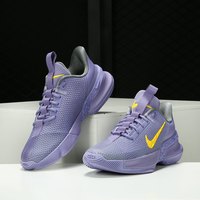 Nike/耐克Ambassador 13 詹姆斯使节13 男子篮球鞋CQ9329-500 42