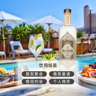 雪树伏特加高端超值品鉴套装 绝对亦乐+雪树176传承
