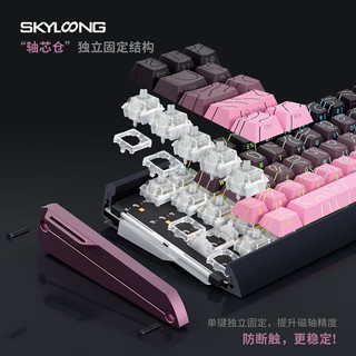 SKYLOONG小呆虫GK61/68HE铝坨坨磁轴机械键盘全键热插拔轴芯仓传统定位板可互换双结构客制化玩家版 GK68HE-黑色等高线-幻晶白轴 轴芯仓版 GK68HE-黑色等高线-黑色-幻晶白轴