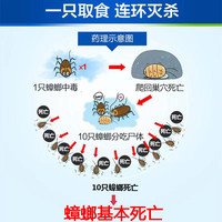灭蟑螂药克星一窝全窝扫净杀端除厨房家用呋虫胺喷雾剂非无毒