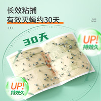 绿叶 粘蝇纸灭苍蝇器粘蝇胶50片装灭苍蝇粘板