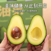爱鲜摘农场 金·哈斯牛油果云南孟连【闪送】当季鳄梨非即食新鲜水果礼盒 【鼻祖级】巨无霸丨约150-180g 6枚【20%选择-较划算】普装