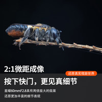 brightin star 星曜光学星曜60mm F2.8微距微单2倍放大全画幅定焦镜头微单相机星耀  索尼E卡口