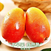 京地达海南贵妃芒净重9斤(单果100g+)新鲜现摘水果源头直发 【中果超值装】9斤单果100g+