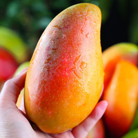 京地达海南贵妃芒净重9斤(单果200g+)应季热带新鲜水果源头直发 【心满意足装】9斤单果200g+