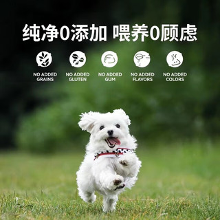 ZEAL犬罐头主食罐狗狗湿粮罐头老年犬幼犬新西兰狗粮170g*12 鸡肉 【鸡肉口味】170g*12
