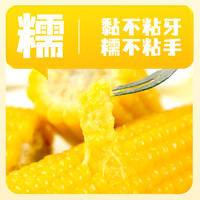 素养生活有机糯玉米棒2.08kg8穗东北新粘糯玉米即食真空包装早餐