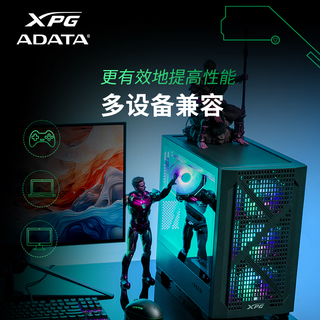 威刚 XPG翼龙S50PRO M.2固态硬盘 500GB