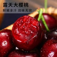 鲁道鲜山东大樱桃 生鲜水果 源头直发 2斤(净重) 巨无霸 4J 礼盒装