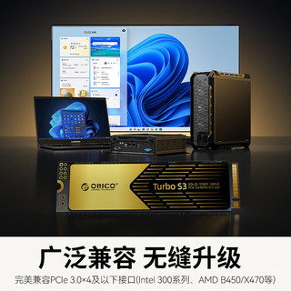  ORICO/奥睿科 TurboS3 NVME PCIE3.0 SSD固态硬盘  2TB