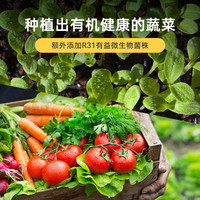 园艺荟通用型营养土壤养花卉种植菜月季绣球蓝莓盆栽育苗多肉肥料