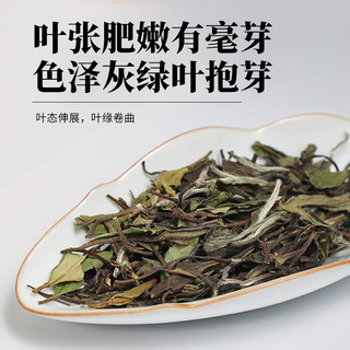 蝴蝶牌中茶茶叶福建一级白牡丹散茶老树白茶大份量口粮茶可可自饮 一级经典白茶 500g*6份
