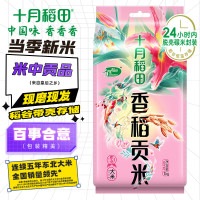 十月稻田 香稻贡米 1kg