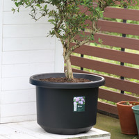 老花农 大号花盆蓝莓盆栽黑加仑盆绿萝月季圆形多肉花盆大口径塑料种菜盆