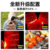 暴走怪兽速燃炭烧烤碳木炭无烟碳果木炭家用煤球室内引火户外围炉 速燃炭 加厚33MM【200块】