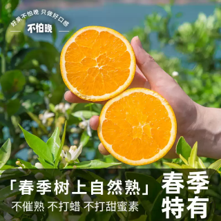 京地达湖北秭归伦晚脐橙子礼盒净重9斤单果80mm+新鲜水果源头直发
