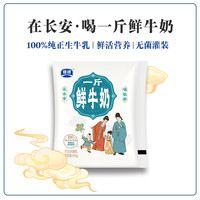 银桥 牛奶一斤鲜牛奶生牛乳500g*6袋3重活性营养蛋白早餐牛奶