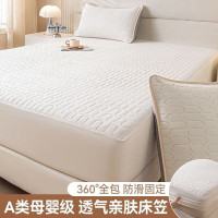 朴顿庄园 莫兰迪夹棉加厚全包围防滑床笠 150*200CM 雅致白