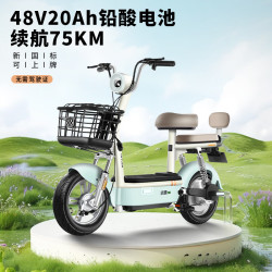 绿源 电动自行车乐骑9续航75公里LED透镜大灯陶瓷刹车真空钢丝轮胎液冷电机质保十年 麦芽棕 麦芽棕