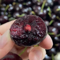 祁语大连美早樱桃国产车厘子5斤当季新鲜水果大樱桃原箱礼盒整箱 0.9斤(净重) J 26mm(含)-28mm(不含)