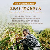 菲特瓦【酸甜凤梨青苹果】法国无醇无酒精起泡白葡萄汁零酒精配香槟杯 0度起泡葡萄汁·双支装