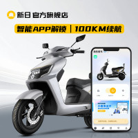新日 飞马2.0 电动摩托车