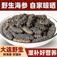 海参500g鲜活辽参海生刺参单个装店