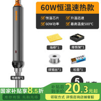 锐能 RAYENR RN210304-5 电烙铁 60W插拔陶瓷芯恒温（带赠品）