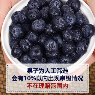 好媛好宇云南蓝莓【JD/多地次日达】超大果花香蓝莓新鲜水果大果 4盒精选果12mm+单盒100-125g