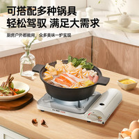岩谷(Iwatani) 户外卡式炉卡磁炉瓦斯炉家用火锅炉具烧烤炉子野炊卡斯炉燃气灶 全收纳箱