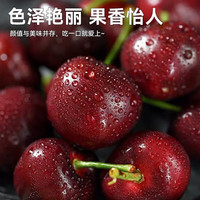 北森南屿【多地次日达】山东大樱桃新鲜应季水果国产车厘子樱桃生鲜整箱 4.5斤(净重) 单果(22mm)