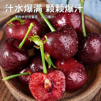 北森南屿【多地次日达】山东大樱桃新鲜应季水果国产车厘子樱桃生鲜整箱 4.5斤(净重) 单果(24mm)