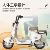 凤凰电动车可上牌新国标电动自行车2024成人代步电瓶车 天青绿【NFC解锁 蓝牙解锁】 【铅酸】12A超威/天能-助力续航约80公里