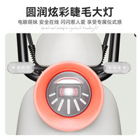 凤凰电动车可上牌新国标电动自行车2024成人代步电瓶车 雾霾蓝【NFC解锁 蓝牙解锁】 【锂电】12A汽车级电池-助力续航约70公里