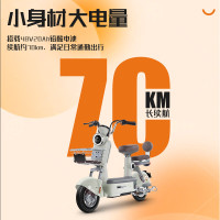 移动端、京东百亿补贴：宝岛电动车 BODO 宝岛新国标电动车 绿配-48V12A铅酸-续航45公里