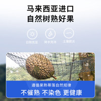 市舶士马来西亚D24苏丹王榴莲带壳整果2-5斤液氮冷冻榴莲肉 4.6-5.0斤【保底4房 全家分享】