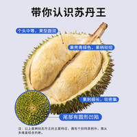 市舶士马来西亚进口D24苏丹王榴莲2-5斤液氮冷冻送礼榴莲肉