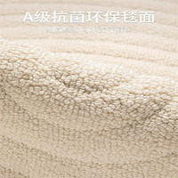 Y U-LIVE地毯客厅防水防污立体可擦纯色免洗现代轻奢高级奶油风卧室地毯 3D硅藻丝-林语竹音(象牙自色) 300×400CM