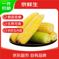 京百味 水果玉米5斤 云南甜玉米棒子新鲜生鲜蔬菜香甜多汁应季 源头直发 鲜水果玉米5斤