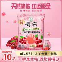 溜溜梅 红梅红提红樱桃梅冻 280g 14袋