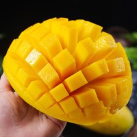 金百粟海南三亚金煌芒果现摘热带新鲜水果水仙大芒果甜心芒整箱当季生鲜 净重4.5斤特大果【单果500g+】