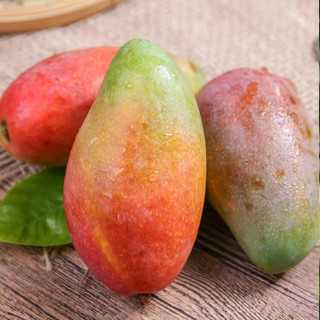 陇百味海南贵妃芒果新鲜树上熟芒果红金龙应季当季热带时令水果整箱特产 单果100g+净重4.5斤