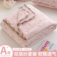 伊心爱 2025新款双层纱水洗棉夏被夏凉被夏季薄被子单双人可机洗空调被