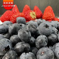 【玖玖农场】丹东草莓蓝莓双拼礼盒丹东红颜草莓L25宝宝蓝莓