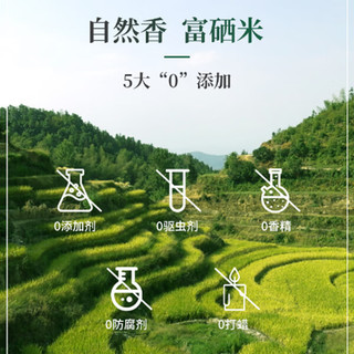  中骄 富硒生态米  袋装 500g 500g