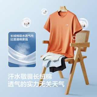 红豆【风生水起】抗菌凉感索罗那短袖T恤男25夏休闲吸湿透气棉短袖男 天空蓝A1 XL 180/96A 70-80公斤