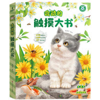 《会动的触摸大书》宝宝的触摸书儿童绘本