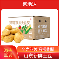京地达 栗贝诺 小土豆新鲜净重5斤 当季蔬菜土家特产 源头直发
