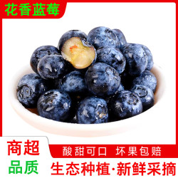 果聚匠心 云南新鲜蓝莓 12-14mm 8盒 每盒80-100g